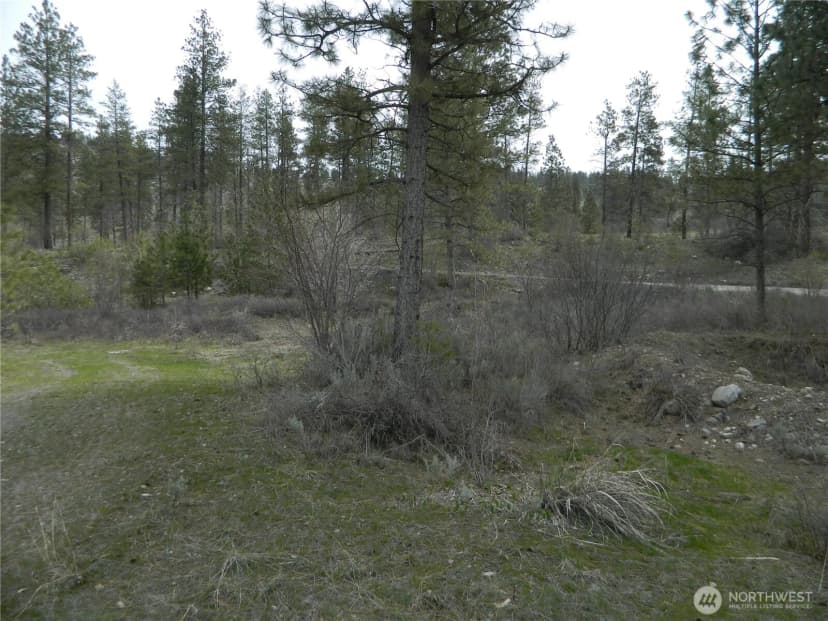 Property photo for 357 Swanson Mill Road, Tonasket photo 11