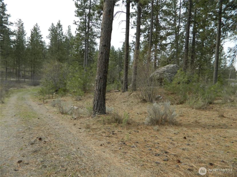 Property photo for 357 Swanson Mill Road, Tonasket photo 14