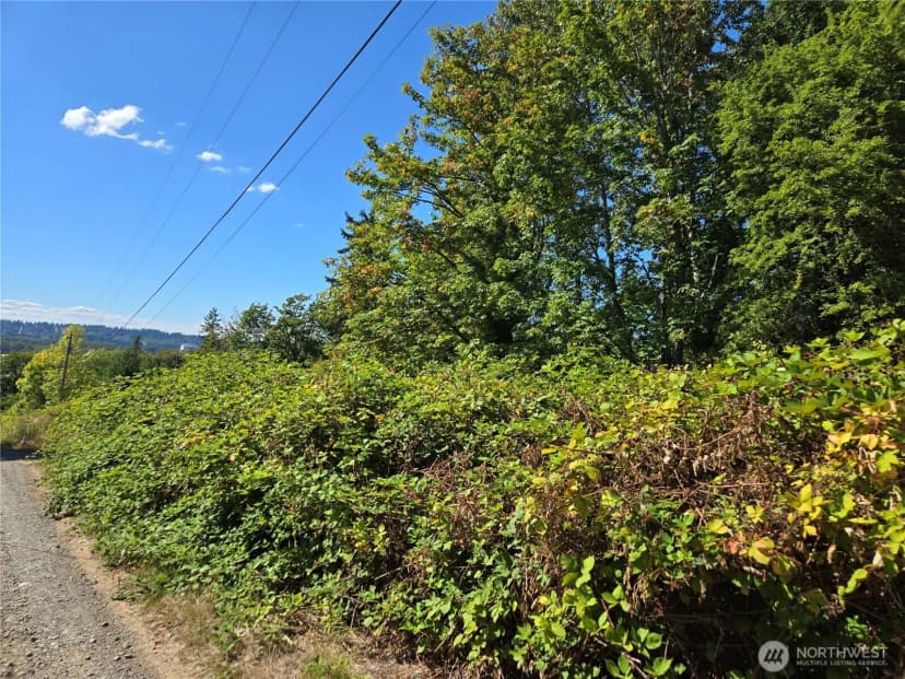 Property photo for 3106 Talbot Road S #lot 2, Renton photo 24