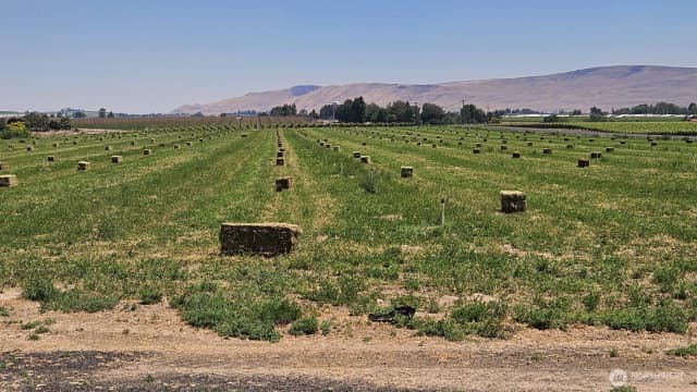 Property photo for 125498 W Mccreadie, Prosser photo 2