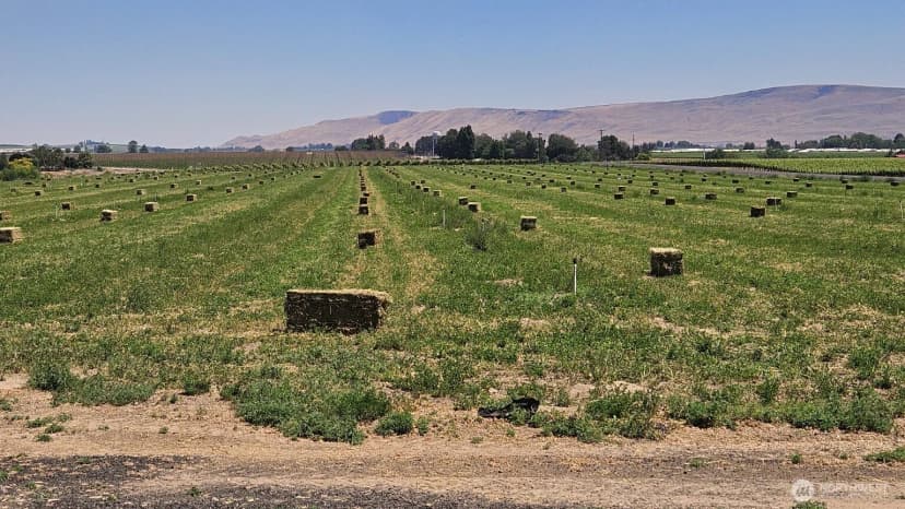 Property photo for 125498 W Mccreadie, Prosser photo 2