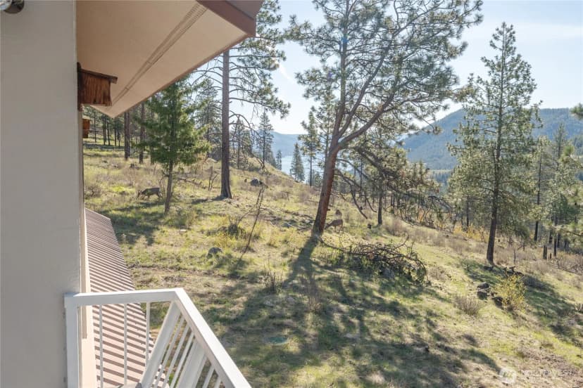 Property photo for 241 Chickadee Mountain Lane, Chelan photo 25