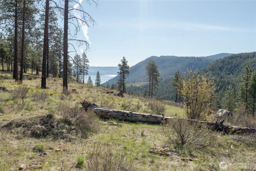 Property photo for 241 Chickadee Mountain Lane, Chelan photo 28
