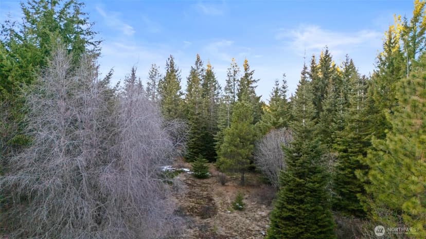 Property photo for 3301 Jenkins Drive, Cle Elum photo 5