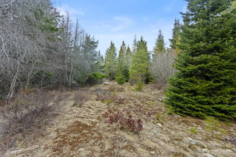 Property photo for 3301 Jenkins Drive, Cle Elum photo 13