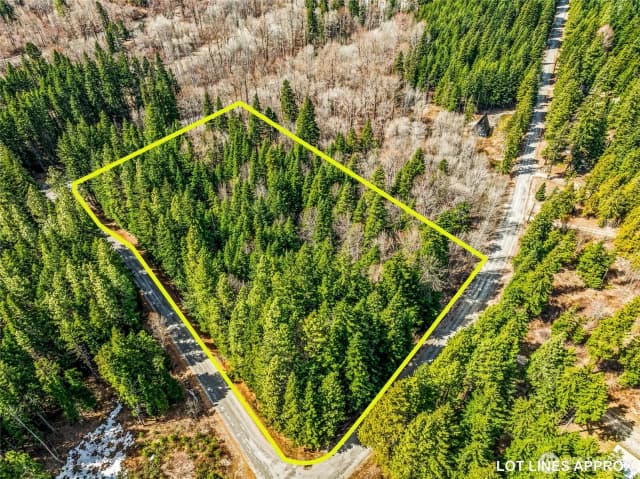 Property photo for 1111 Nason Ridge Road, Leavenworth photo 3