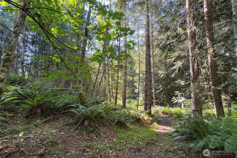 Property photo for 3634 Deer Park Street Ct, Port Angeles photo 40