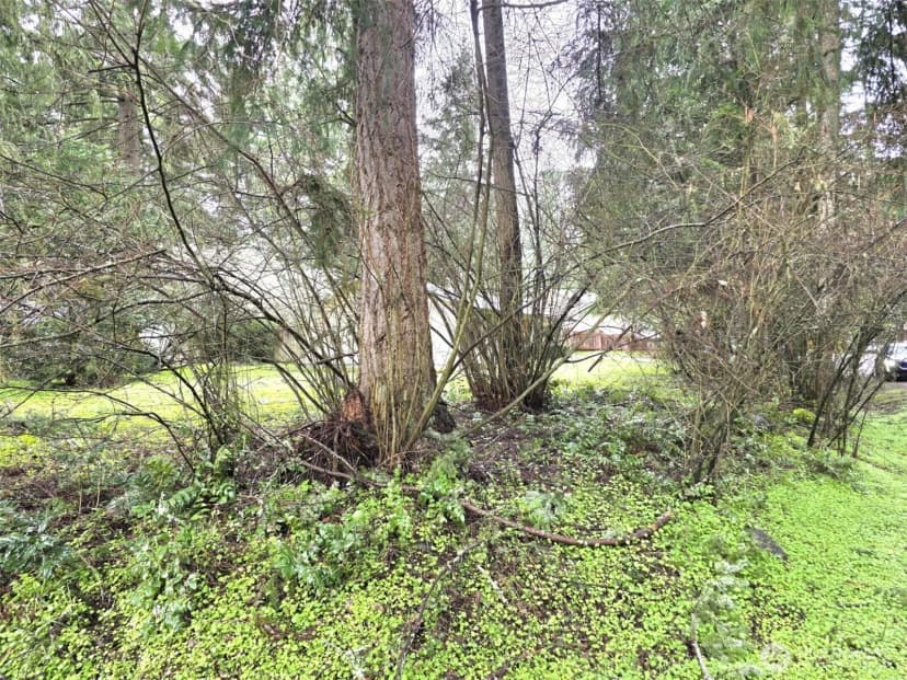 Property photo for 17819 Upland Drive Se, Yelm photo 16