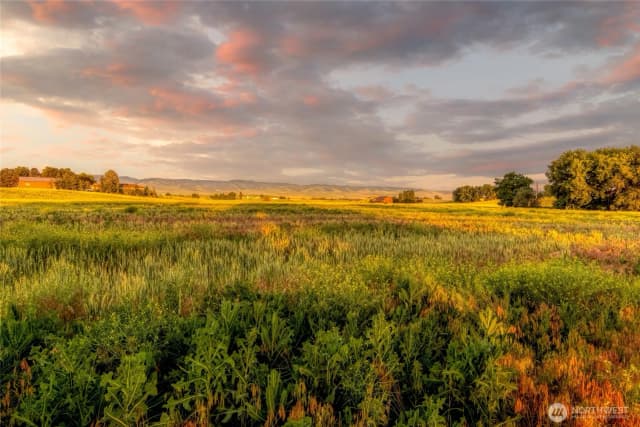 Property photo for 1519 Whiteley Road, Walla Walla photo 4