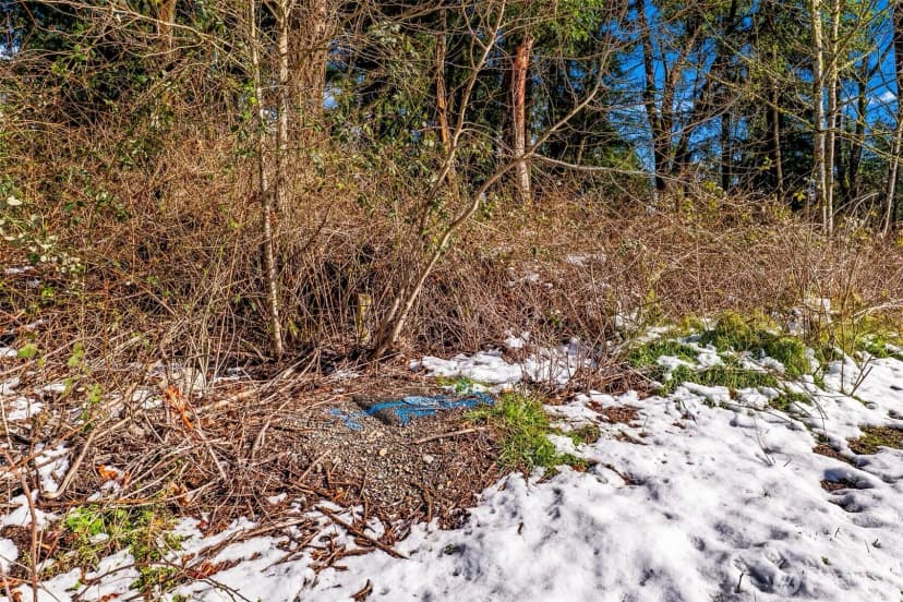 Property photo for 0 Xx 14th Avenue Sw, Federal Way photo 19