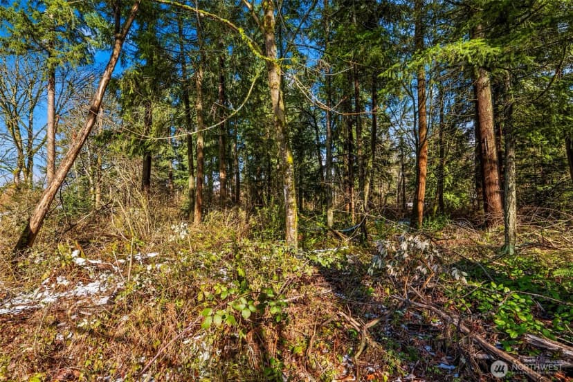 Property photo for 0 Xx 14th Avenue Sw, Federal Way photo 14