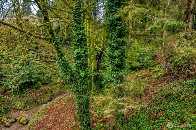 Property photo for 0 S Dash Point Road, Federal Way photo 5