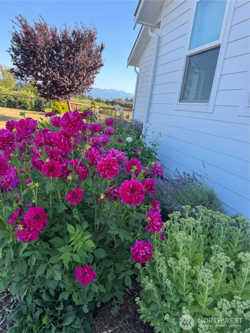 Property photo for 73 Cobb Circle, Sequim photo 9