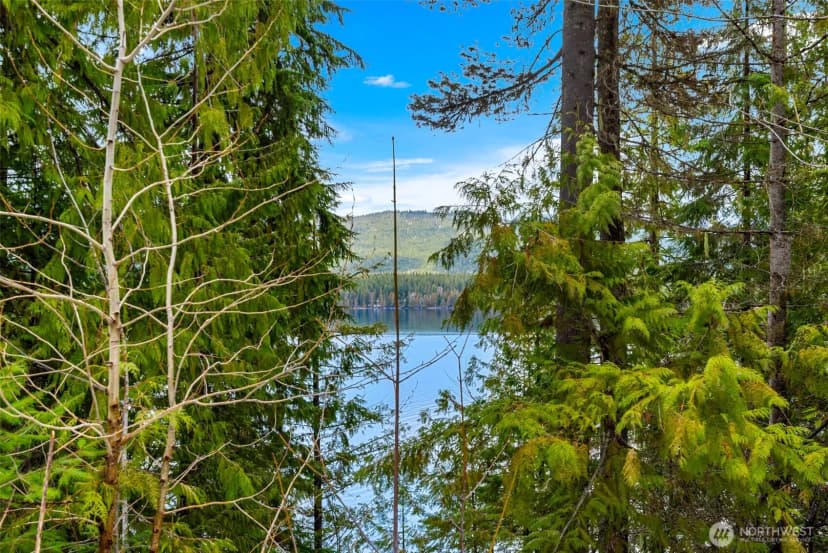 Property photo for 0 Cedar Brae Lot 87, Lake Wenatchee photo 6