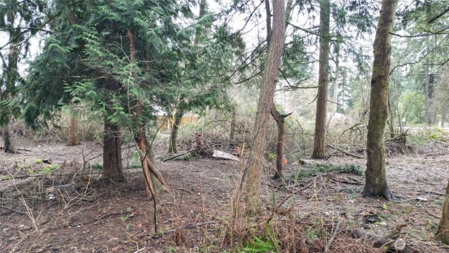 Property photo for 1111 Enchanted Pkwy S, Federal Way photo 5