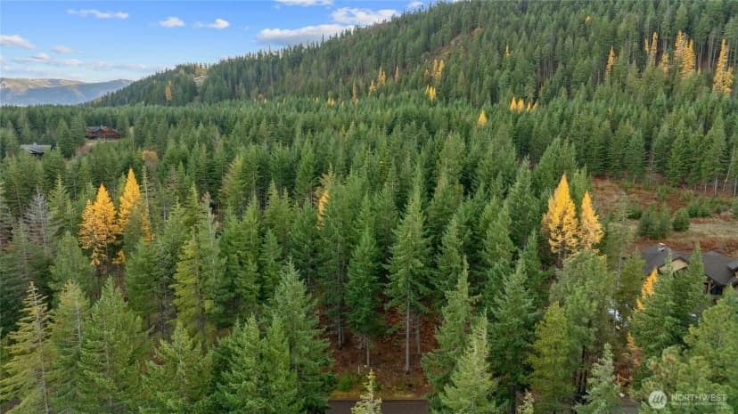 Property photo for 230 Goat Creek Lane, Cle Elum photo 15