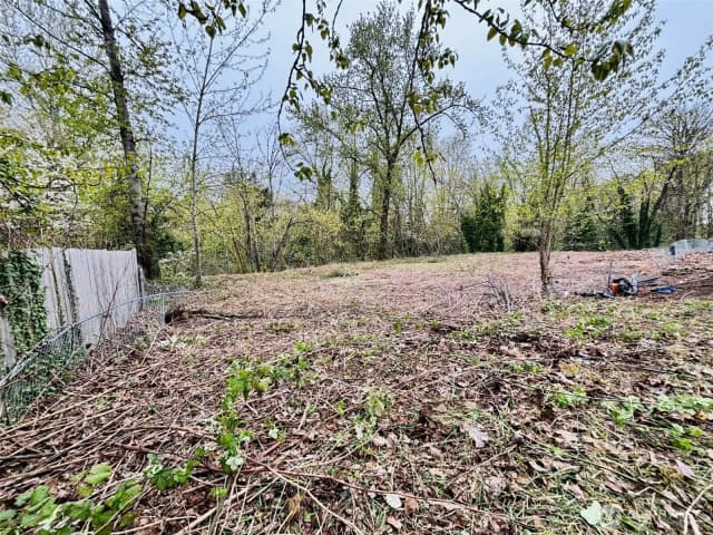 Property photo for 421 E 46th Street, Tacoma photo 4