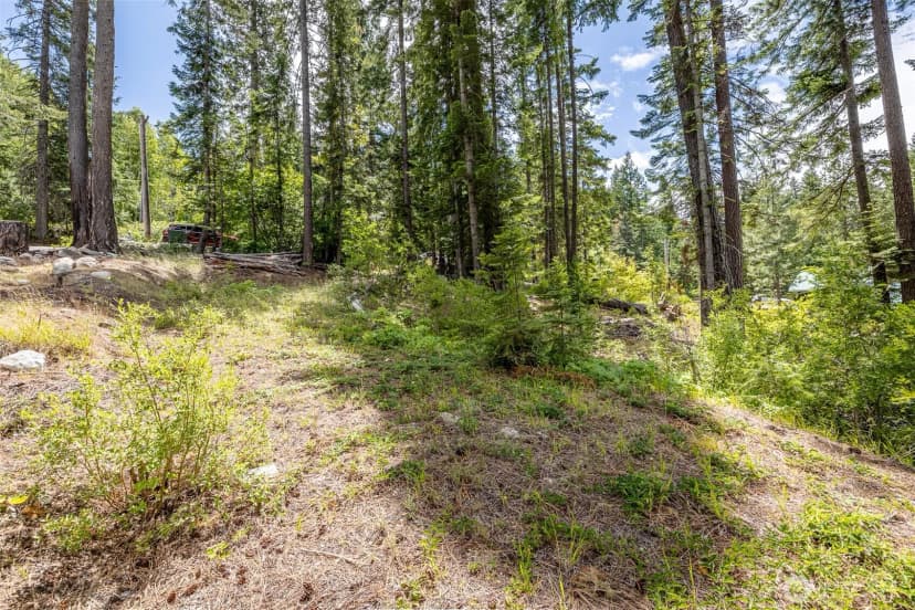Property photo for 22660 Alpine Drive, Leavenworth photo 5