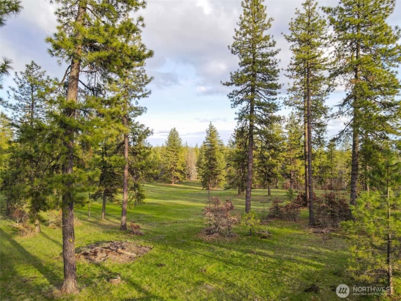 Property photo for 0 Lot 8 Greyback Mountain Road, Goldendale photo 2