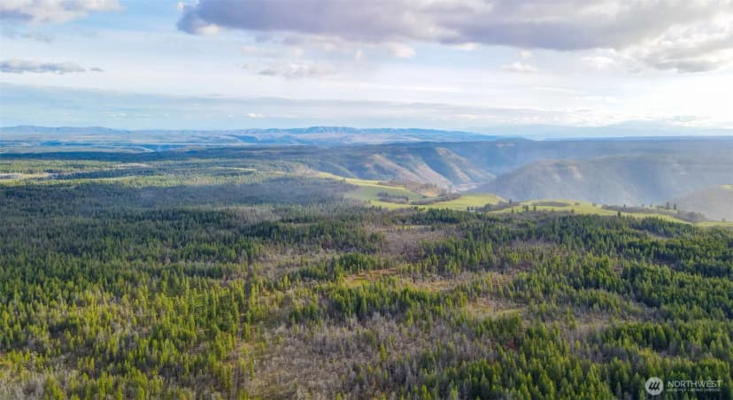 Property photo for 0 Lot 8 Greyback Mountain Road, Goldendale photo 4