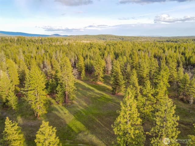 Property photo for 0 Lot 8 Greyback Mountain Road, Goldendale