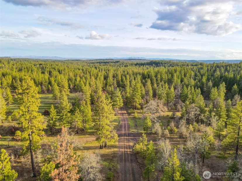 Property photo for 0 Lot 8 Greyback Mountain Road, Goldendale photo 3