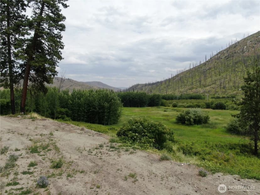 Property photo for 0 Antoine Creek Road, Chelan photo 12
