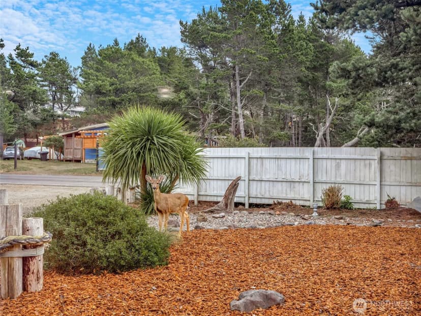Property photo for 29515 I Street, Ocean Park photo 33