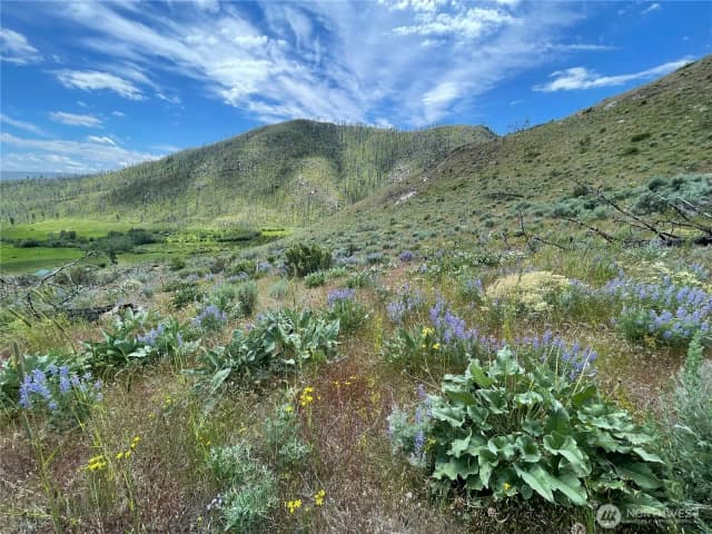 Property photo for 436 Antoine Creek Road #lot I, Chelan photo 2