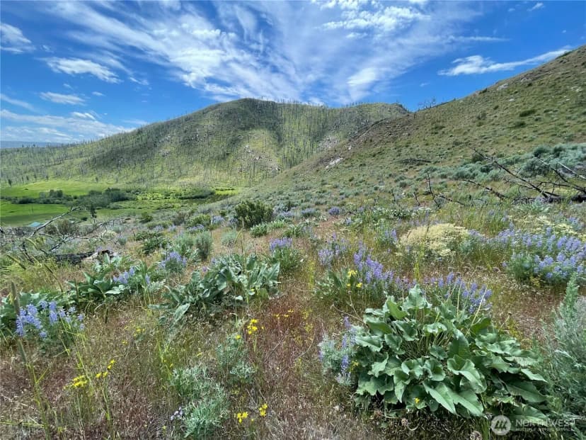 Property photo for 436 Antoine Creek Road #lot I, Chelan photo 2