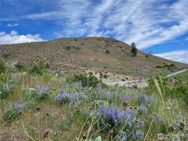 Property photo for 436 Antoine Creek Road #lot I, Chelan photo 3