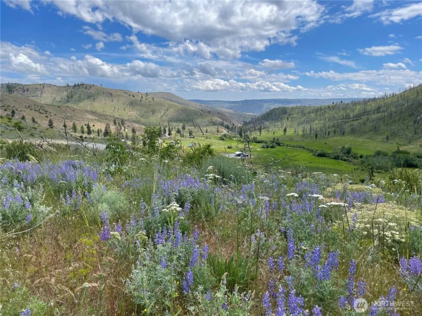 Property photo for 436 Antoine Creek Road #lot I, Chelan