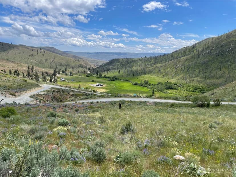 Property photo for 436 Antoine Creek Road #lot I, Chelan photo 5