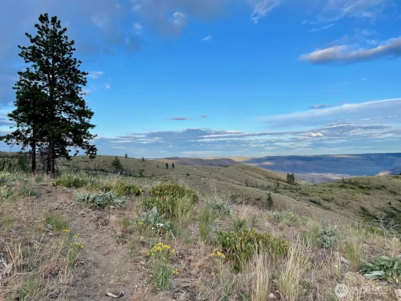 Property photo for 436 Antoine Creek Road #lot I, Chelan photo 7