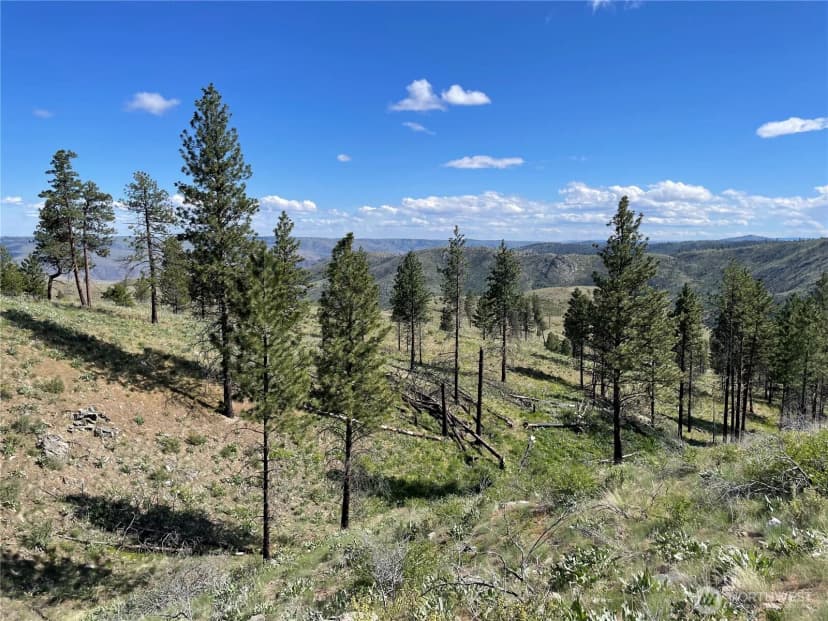 Property photo for 436 Antoine Creek Road #lot I, Chelan photo 13