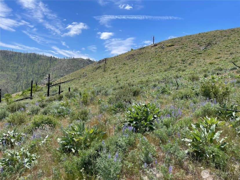 Property photo for 436 Antoine Creek Road #lot E, Chelan photo 4