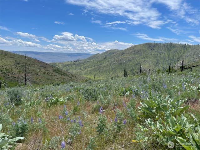Property photo for 436 Antoine Creek Road #lot E, Chelan photo 2