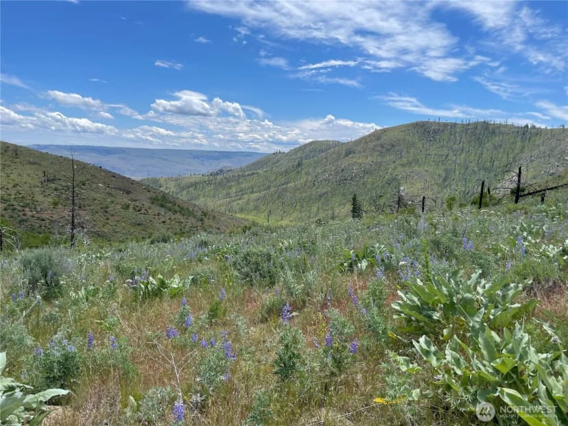 Property photo for 436 Antoine Creek Road #lot E, Chelan photo 2