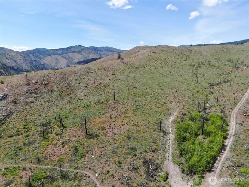 Property photo for 436 Antoine Creek Road #lot E, Chelan photo 6