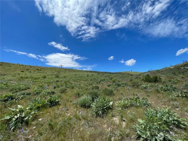 Property photo for 436 Antoine Creek Road #lot E, Chelan photo 3
