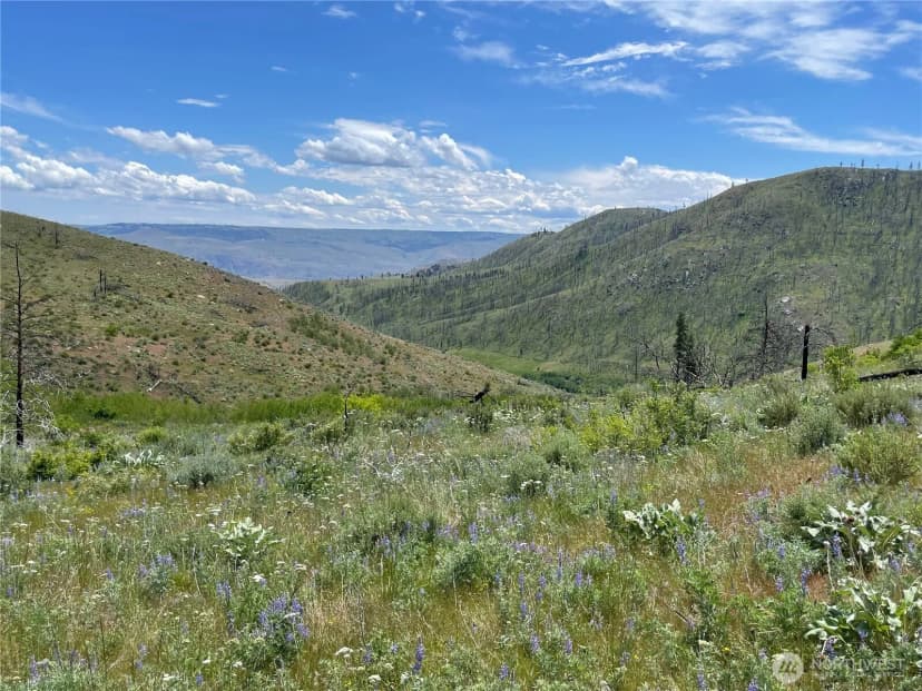 Property photo for 436 Antoine Creek Road #lot E, Chelan