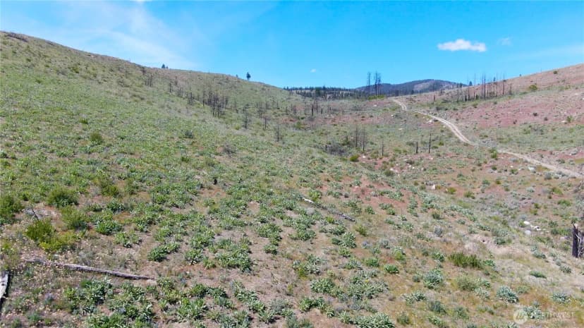 Property photo for 436 Antoine Creek Road #lot E, Chelan photo 8