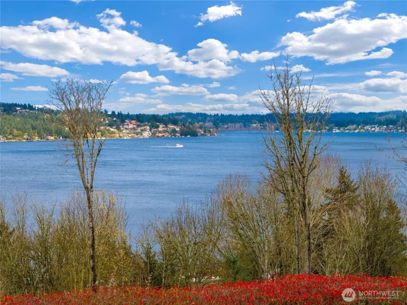 Property photo for 8005 Sand Point Way Ne #a31, Seattle photo 14