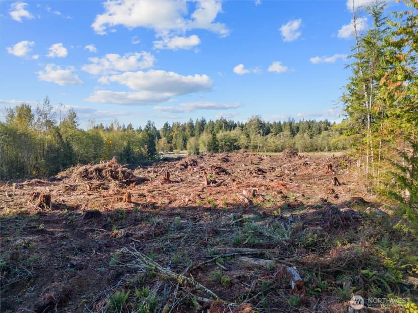 Property photo for 0 288th Street Ne, Stanwood photo 10