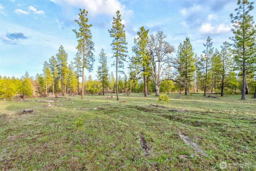Property photo for 0 Lot 7 Greyback Mountain Road, Goldendale photo 3