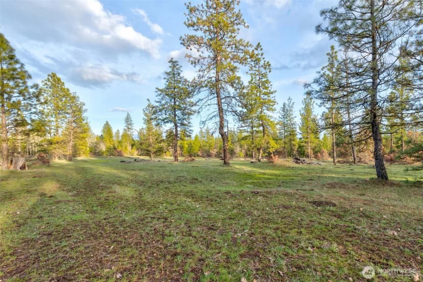 Property photo for 0 Lot 7 Greyback Mountain Road, Goldendale photo 4