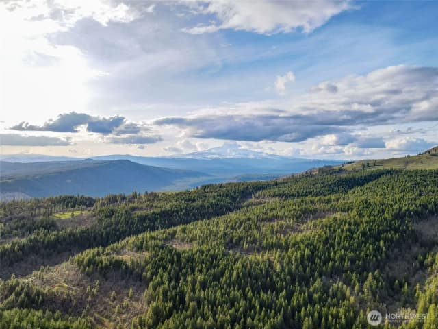 Property photo for 0 Lot 7 Greyback Mountain Road, Goldendale