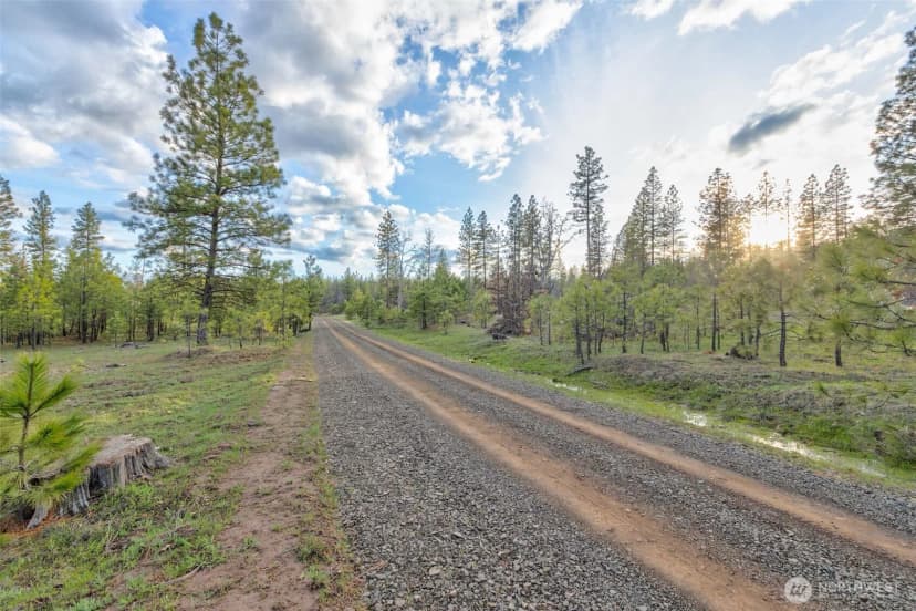 Property photo for 0 Lot 7 Greyback Mountain Road, Goldendale photo 2