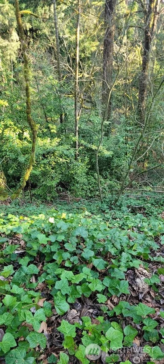 Property photo for 1317 Wildwood Boulevard Sw, Issaquah photo 2