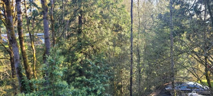Property photo for 1317 Wildwood Boulevard Sw, Issaquah